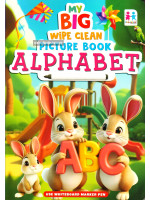 My Big Wipe Clean Picture Book Alphabet